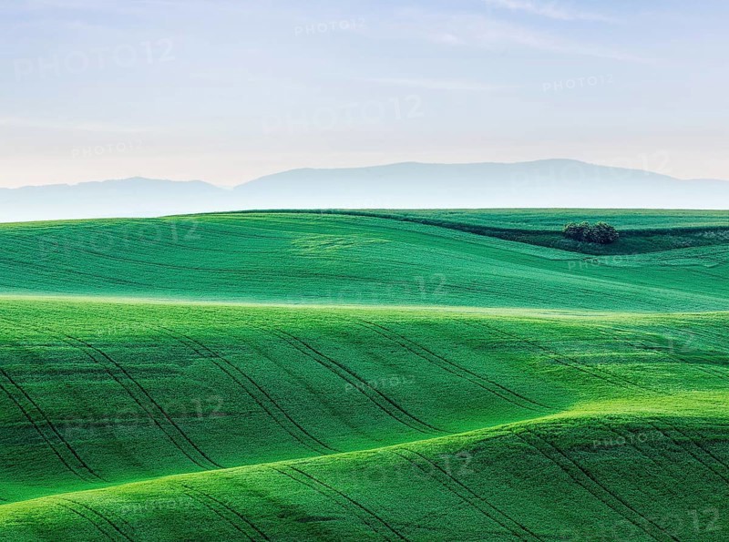 Moravian rolling landscape. South Moravia, Czech Republic, Europe