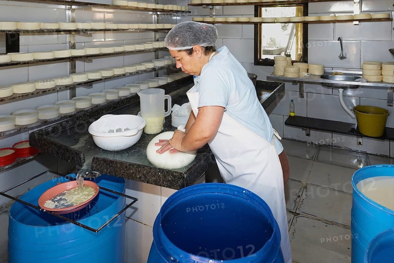 Woman farmer preparing cheese, Serra da Canastra, Sao Roque das Minas, Minas Gerais state, Brazil, South America
