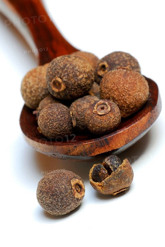 Allspice (Pimenta dioica officinalis) clove pepper, Jamaica pepper, new spice, four spice, koerner