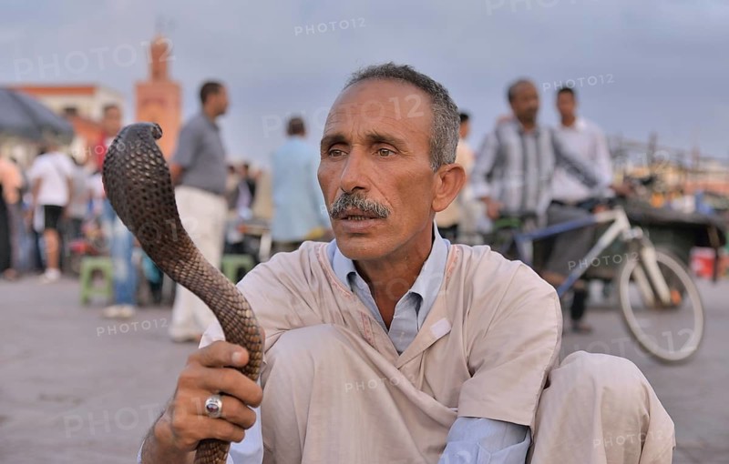 Snake charmer at Djemaa el Fna market square, historic center, Marrakesh, Marrakesh-Tensift-El Haouz region, Morocco, Africa
