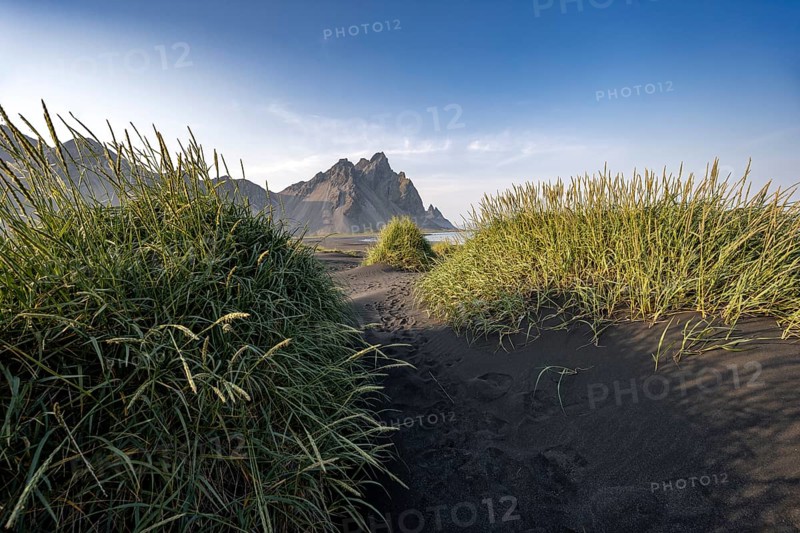 Black beach with volcanic sand, sandy beach, dunes with grass, Stokksnes headland, Klifatindur mountain range, Austurland, East Iceland, Iceland, Europe