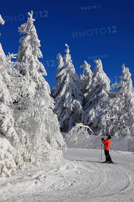 Winter landscape and cross-country ski trail in the Fichtelgebirge, Bayreuth district, Upper Franconia, Bavaria, Germany, Europe