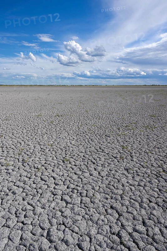 Heavily dried out Darscho or Warmsee, Lake Neusiedl-Seewinkel National Park, Burgenland, Austria, Europe