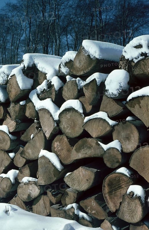 Firewood, storage in the forest in winter, piles