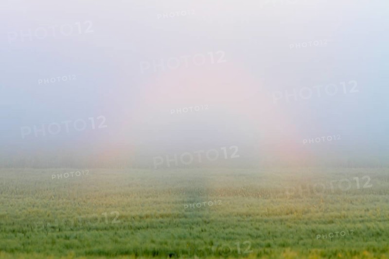 Ringhalo, Brocken ghost, light phenomenon, rainbow, Peene Valley River Landscape nature park Park, Mecklenburg-Western Pomerania, Germany, Europe