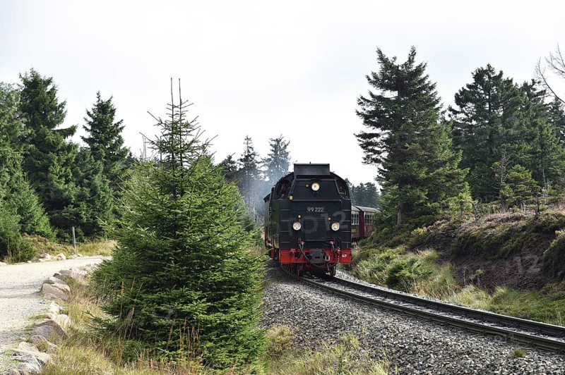 Harz narrow-gauge railway on the way to the Brocken, Saxony-Anhalt, Germany, Europe