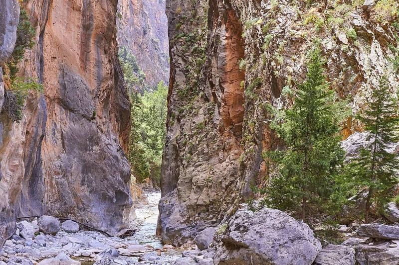 Narrows, Iron Gate, Gorge walls, Trees, Rocks, Samaria Gorge, Omalos, Lefka Ori, White Mountains, West Crete, Island of Crete, Greece, Europe