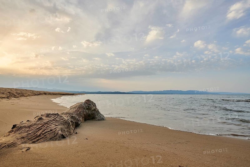 Beach "Platja del Fangar", coast, sea, nature reserve, ebro delta, Catalonia, Spain, Europe