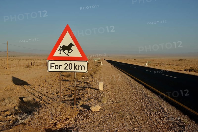 Road through the desert with a warning sign Attention horses, near Aus, Karas Region, Namib, Namibia, Africa