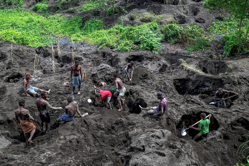 Egg collectors dig at the foot of the still active volcano Mount Tavurvur for eggs of Melanesian Scrubfowl (Megapodius eremita), Rabaul, East New Britain, Bismarck Archipelago, Papua New Guinea, Oceania