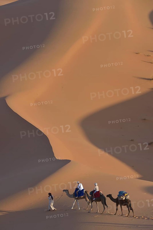 Tourists riding camels in the dunes, Sahara, Merzouga, Meknès-Tafilalet region, Morocco, Africa