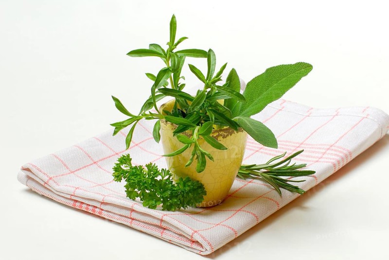 Savory, Savory, Savory (Satureja hortensis) parsley, rosemary, sage