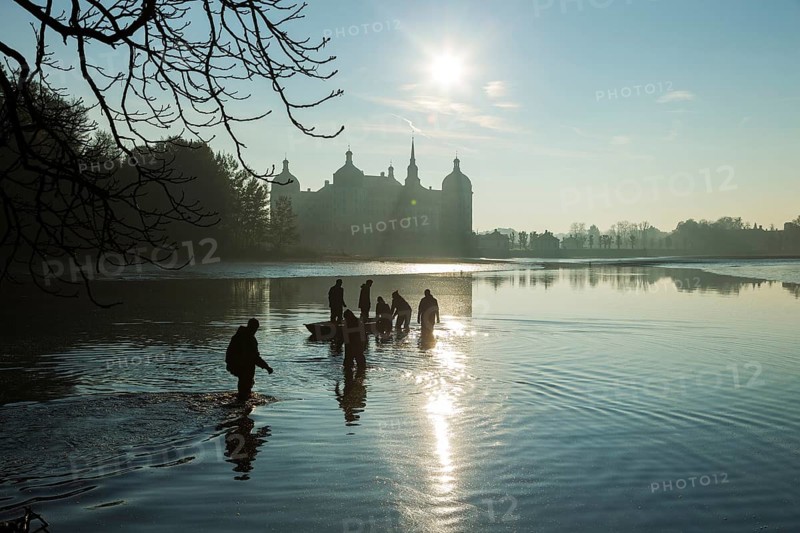 Fishing of the castle pond in Moritzburg