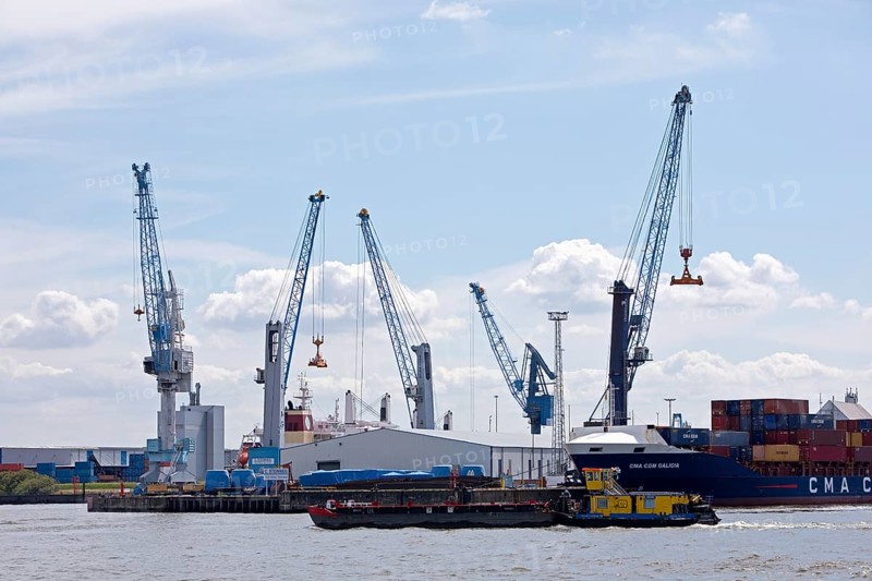 Cranes in Steinwerder Harbour at the South-West Terminal, Norderelbe, Hamburg, Germany, Europe