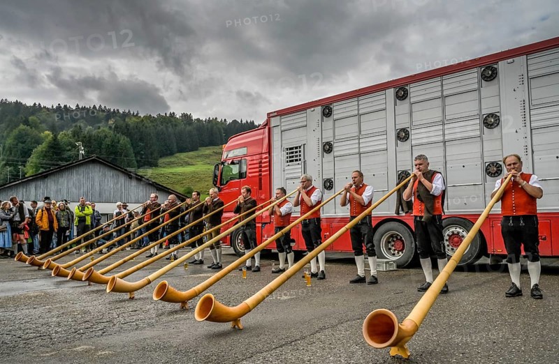 16. 09. 2022. alphorn blowers at the Almabtrieb, cattle seperation in Thalkirchdorf, Markt Oberstaufen, Allgäu, Bavaria, Germany, Europe