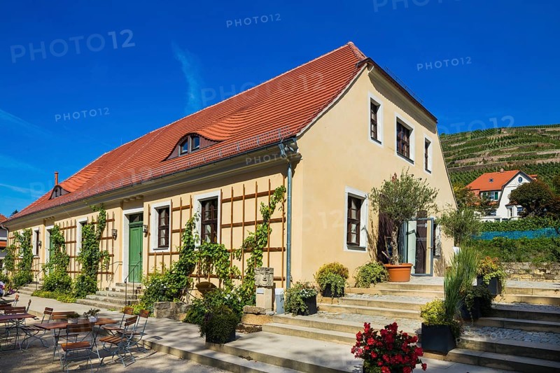 Hoflößnitz st a former Electoral Saxon, now municipal winery on the Saxon Wine Route In the 21st century, it has been converted into a museum and once again maintains a winery with a sales outlet and taproom