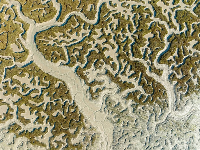 Network of dry channels and streams at low tide, in the marshland of the Bahía de Cádiz, aerial view, drone shot, Cádiz province, Andalusia, Spain, Europe