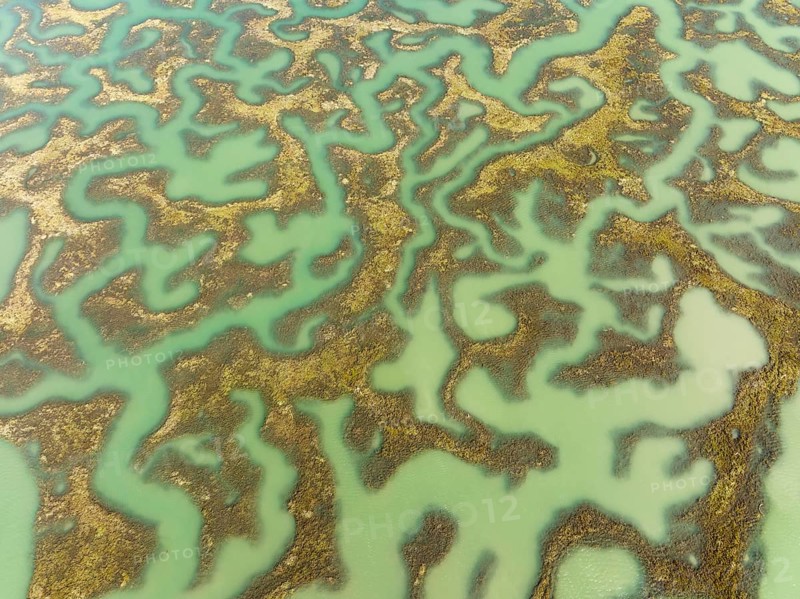 Network of channels and streams at low tide, in the marshland of the Bahía de Cádiz, aerial view, drone shot, Cádiz province, Andalusia, Spain, Europe