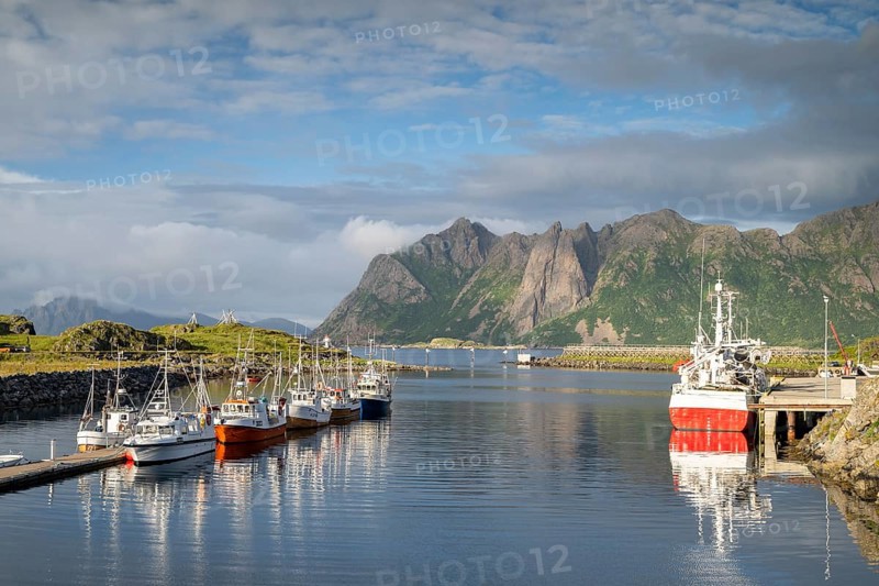 Boats in the harbour, fishing village Hovden, Langøya island, Vesterålen archipelago, Norway, Europe