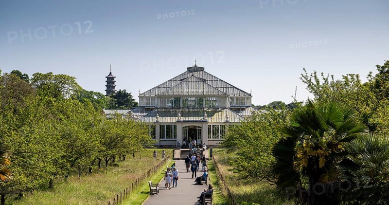 Temperate House, the largest Victorian greenhouse in the world, Royal Botanic Gardens (Kew Gardens), UNESCO World Heritage Site, Kew, Greater London, England, United Kingdom, Europe