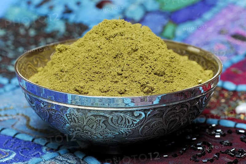 Henna powder, in a bowl, Lawsonia inermis (Lawsonia inermis), Dye, Henna