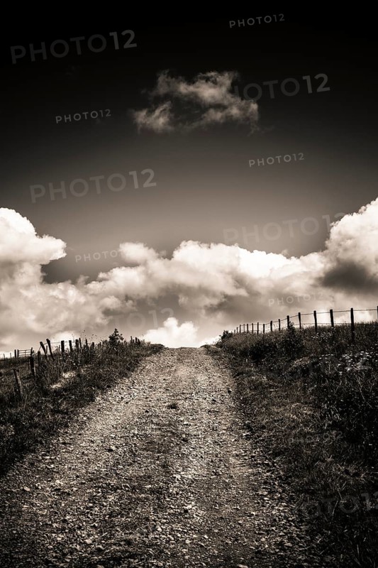 Path in Cezallier plateau, Auvergne volcanoes regional natural park, Puy de Dome department, Auvergne-Rhone-Alpes, France, Europe