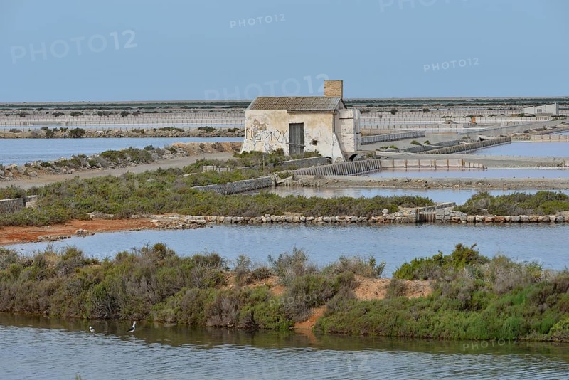Ses Salines saltworks, near Sant Francesc d'Estany, Ibiza, Balearic Islands, Spain, Europe