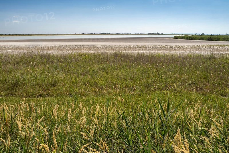 Heavily dried out Darscho or Warmsee, Lake Neusiedl-Seewinkel National Park, Burgenland, Austria, Europe