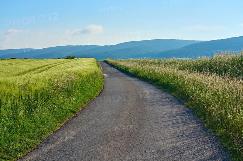 Field road with barley field in spring, Großheubach, Miltenberg, Spessart, Bavaria, Germany, Europe