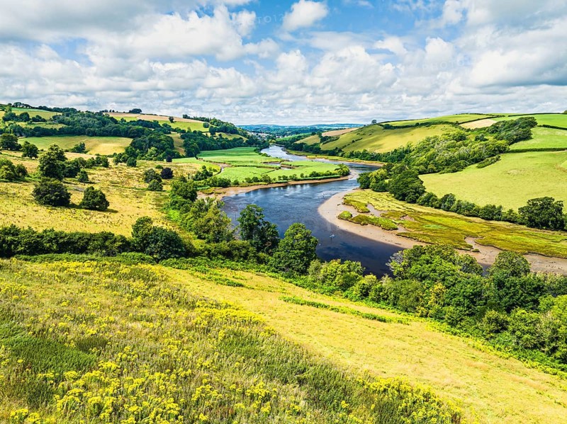 Sharpham Meadows and Marsh over River Dart from a drone, Totnes, Devon, England, United Kingdom, Europe
