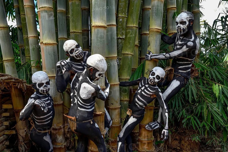 Natives with skeleton painting, Omo Bugamo tribe or skeleton people, Mount Hagen Festival in the village of Avi, Waghi Valley, near Mount Hagen, Western Highlands Province, Papua New Guinea, Oceania