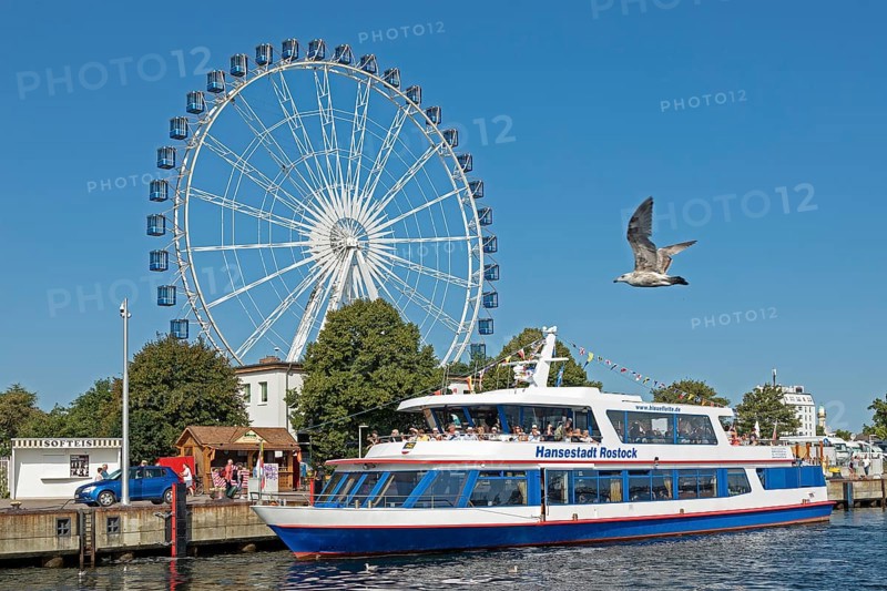 Excursion boat, Ferris wheel, flying seagull, Unterwarnow, Hanse Sail, Warnemünde, Rostock, Mecklenburg-Western Pomerania, Germany, Europe