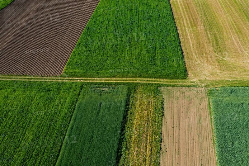 Drone shot, meadow path with grain fields and harvested fields, from above, agriculture, agricultural landscape, Oberhofen, Hausruckviertel, Upper Austria, Austria, Europe