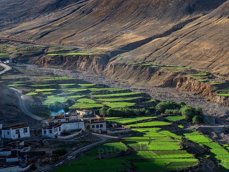 Village between green terraces, rice cultivation and agriculture in the highlands of Tibet, China, Asia