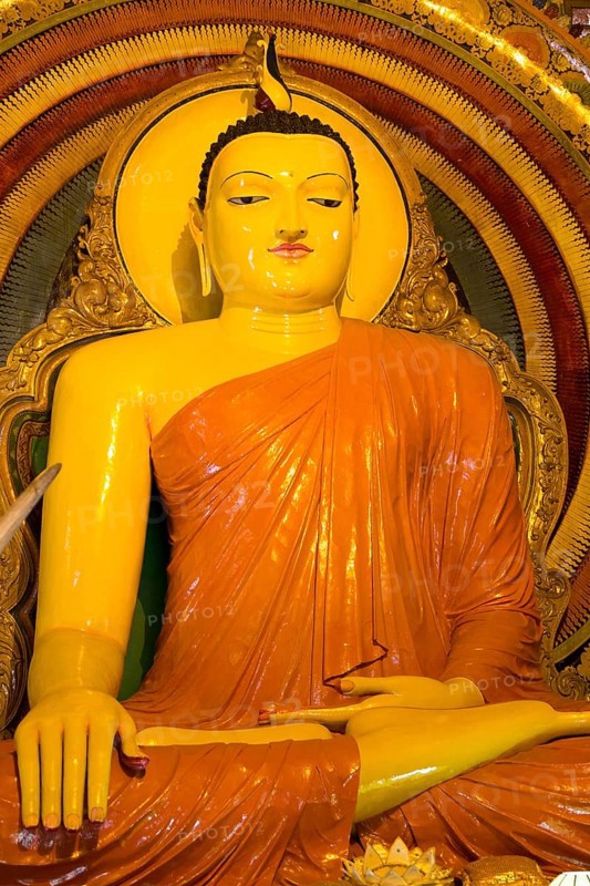 Large Buddha statue at Gangaramaya Temple, Colombo, Sri Lanka, Asia