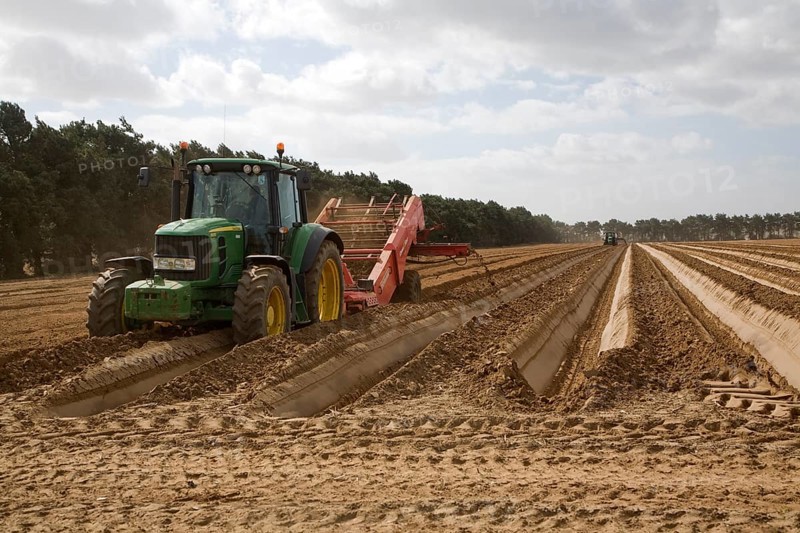 John Deere tractor pulling de-stoning machinery in preparation for planting potatoes, Shottisham, Suffolk, England, United Kingdom, Europe