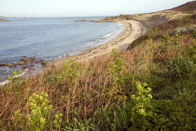 Bears beach, Island of Herm, Channel Islands, Great Britain