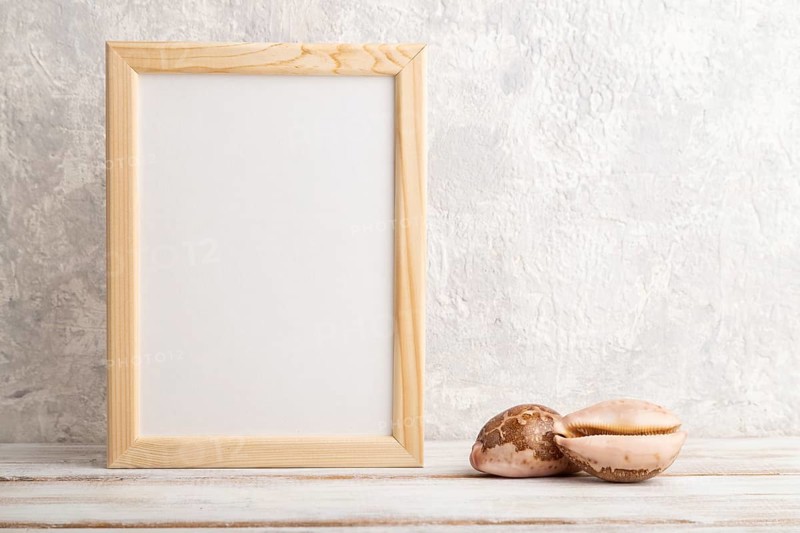 White wooden frame mockup with seashells on gray concrete background. Blank, vertical orientation, still life, copy space