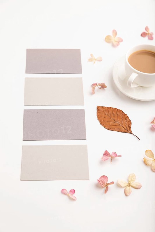 Composition with gray paper business card, brown beech autumn leaves, hydrangea flowers and cup of coffee. mockup on white background. Blank, side view, still life, copy space