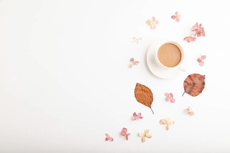 Composition with brown beech autumn leaves, hydrangea flowers and cup of coffee. mockup on white background. Blank, flat lay, top view, still life, copy space