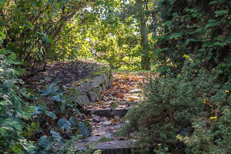 Cottage garden with stone stairs and retaining wall, Modern landscape design