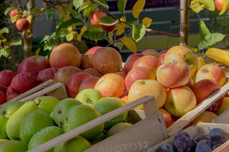 Sale of fruit, apples, pears, plums, Landau, Rhineland-Palatinate, Germany, Europe