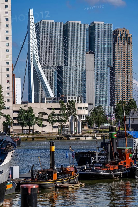 The Maritime Museum, outdoor area in the Leuvehaven, in Rotterdam, many old ships, boats, exhibits from the maritime sector, view of the high-rise buildings at the Kop van Zuid, pillars of the Erasmus Bridge, Netherlands