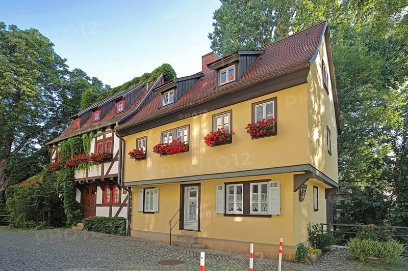 Red half-timbered house overgrown with ivy and yellow building, overgrown, yellow, red, plant growth, idyll, Kreuzsand, Erfurt, Thuringia, Germany, Europe
