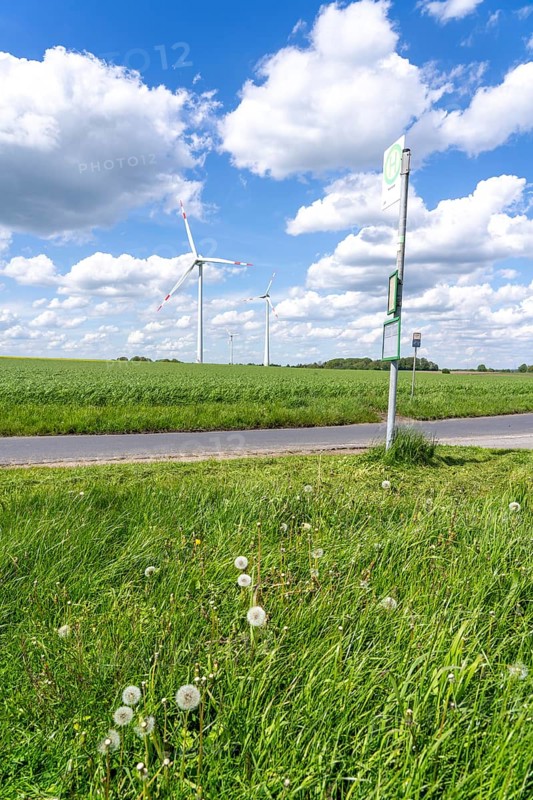 Local transport in the countryside, line 299, 4 stops on weekdays, bus stop Nierleistraße, Dorsten, North Rhine-Westphalia, Germany, Europe