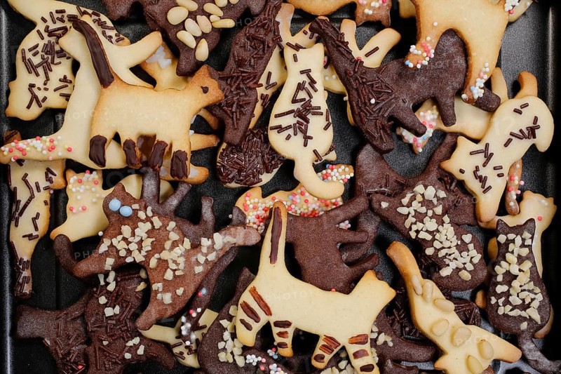 Swabian cuisine, Swabian Christmas biscuits, cookie cutters, shortbread biscuits, cat figures, painted with chocolate, typical Swabian, baking, Christmas bakery, sweet biscuits, Gutsle, Bredle, baked goods, from the oven, traditional cuisine, food photography, studio, Germany, Europe