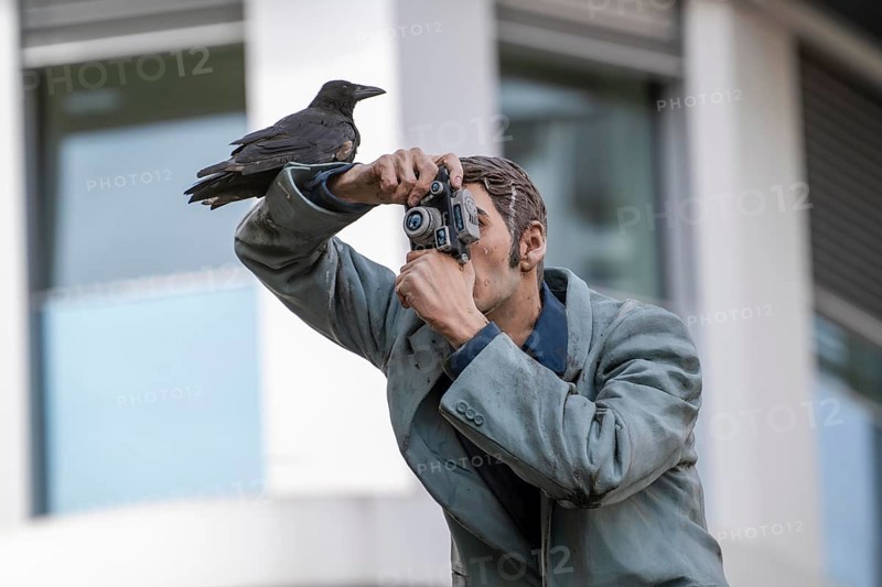 Real crow on a pillar saint, The Photographer, in front of the main railway station in Düsseldorf, one of 10 realistic, life-size sculptures of people on advertising pillars by Düsseldorf artist Christoph Pöggeler, public art, North Rhine-Westphalia, Germany, Europe