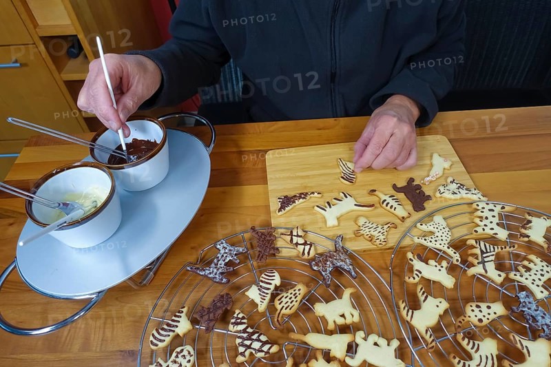 Swabian cuisine, Swabian Christmas biscuits, cookie cutters, shortbread biscuits painted with chocolate, brushes, cat figures, black pastries with cocoa, white biscuits, typical Swabian, baking, Christmas biscuits, sweet biscuits, Gutsle, Bredle, baked goods, from the oven, cooling rack, cake rack, traditional cuisine, men's hands, food photography, studio, Germany, Europe