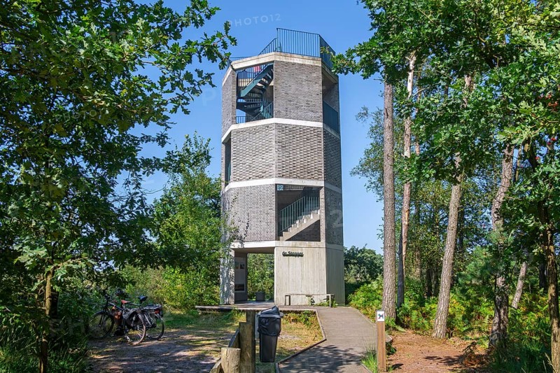 Fire lookout tower, wildfire watchtower De Stapper in the Grenspark Kalmthoutse Heide, Kalmthout Heath, nature reserve in summer, Flanders, Belgium, Europe