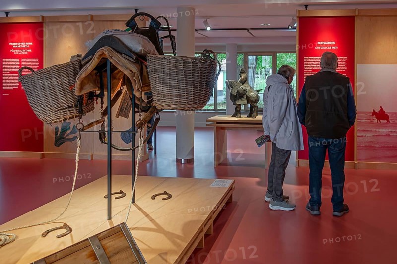 Shrimper's equipment for draught horse with dragnet in the NAVIGO Visserijmuseum, fishery museum at Oostduinkerke, Koksijde, West Flanders, Belgium, Europe